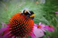 DSCF7029 (2).webp