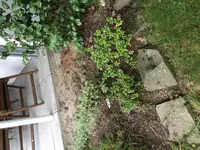 image.webp