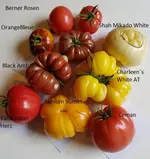 20160811_114244.webp