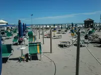 1470913130102.webp