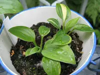 019_1024x768.webp