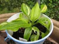 022_1024x768.webp
