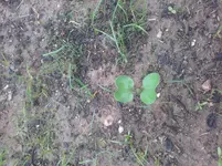 20160812_073558.jpg