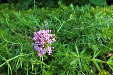 DSCF7021 (2).webp
