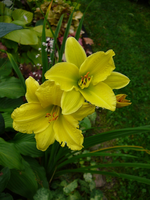 P1120932.webp