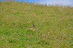 DSC_8057.jpg