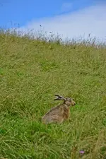 DSC_8062.jpg