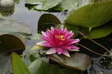 _DSC0894.webp
