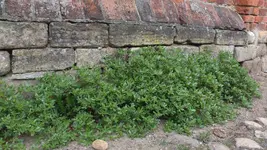 IMG_20160811_155128.webp