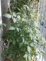 20160812_163200.webp