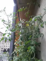 20160812_163022.jpg