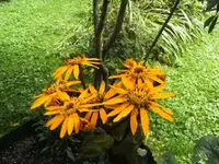 BILD5528.webp
