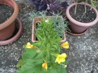 BILD5540.webp
