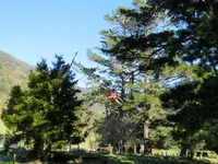 IMG_3113 v (1).webp