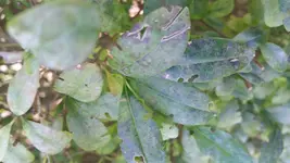 20160813_143002.jpg