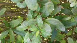 20160813_143011.jpg