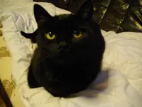 IMGP3118.webp