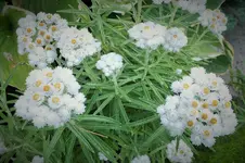 DSCF7062 (2).webp