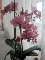 IMG_1639.webp