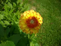 DSCI4448.webp
