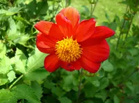 DSCI4447.webp