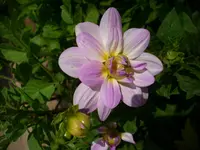 DSCI4444.webp