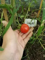20160814_191142_b.jpg