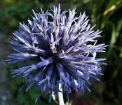 DSCF7082 (3).webp