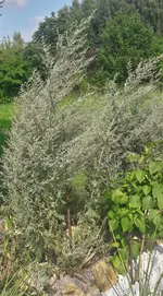 20160814_160903_Richtone(HDR)-1.webp