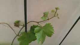 20160815_193152.webp
