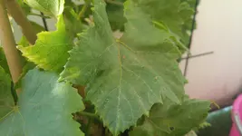20160815_193232.webp