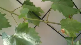20160815_193308.webp
