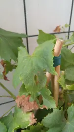 20160815_200835.webp