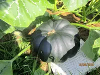 IMG_1705 (2).webp
