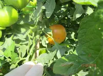 IMG_1701 (2).webp