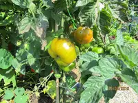 IMG_1702 (2).webp