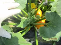 IMG_1707 (2).webp