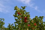 DSC_8639.jpg