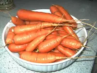 BILD5562.webp