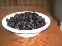BILD5629.webp