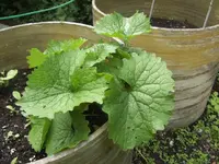 BILD5602.webp