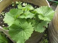 BILD5603.webp