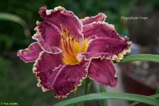 IMG_5848-2.webp