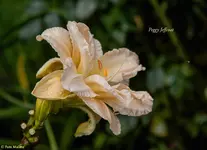 IMG_5868-2.webp