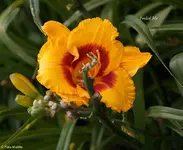 IMG_5878.webp