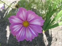 002.webp