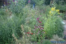 comp_DSC05648.webp