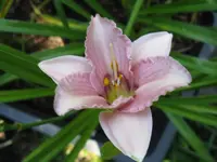 008_1024x768.webp