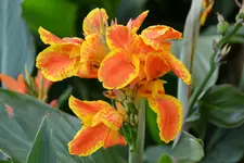 DSC_6146.webp