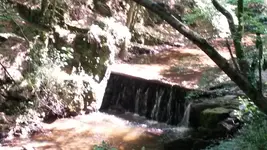 20150807_131838.webp